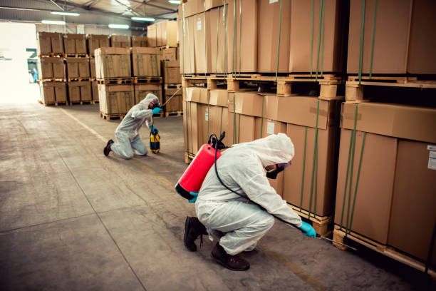 Best Best Pest Control Companies  in Woodstock, IL