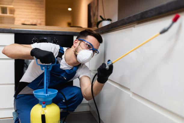 Best Bed Bug Extermination  in Woodstock, IL