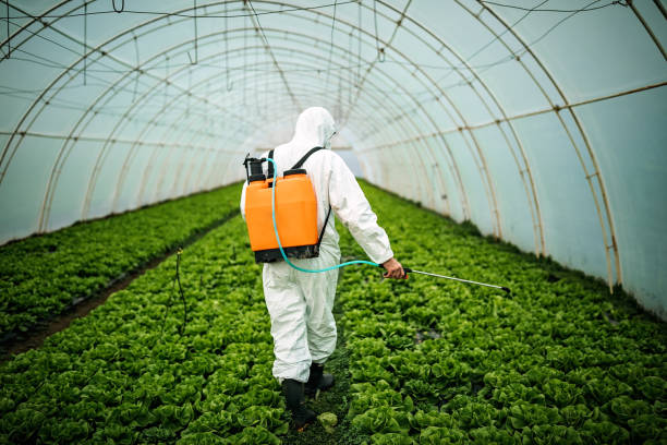 Best Commercial Pest Control Services  in Woodstock, IL