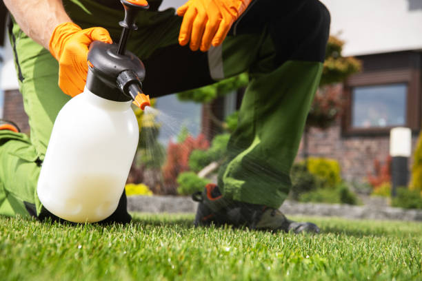  Woodstock, IL Pest Control Pros