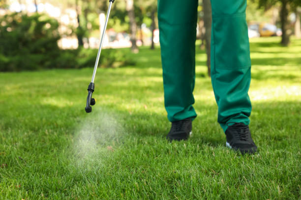 Best Local Pest Control Services  in Woodstock, IL