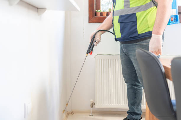Best Cockroach Control Services  in Woodstock, IL