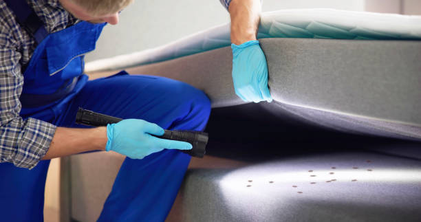 Best Exterminator Services  in Woodstock, IL